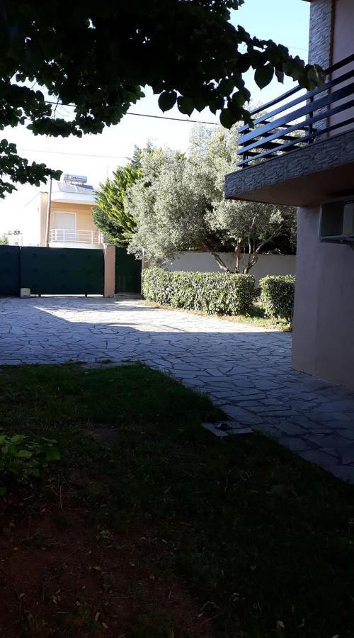 Tassos2 *