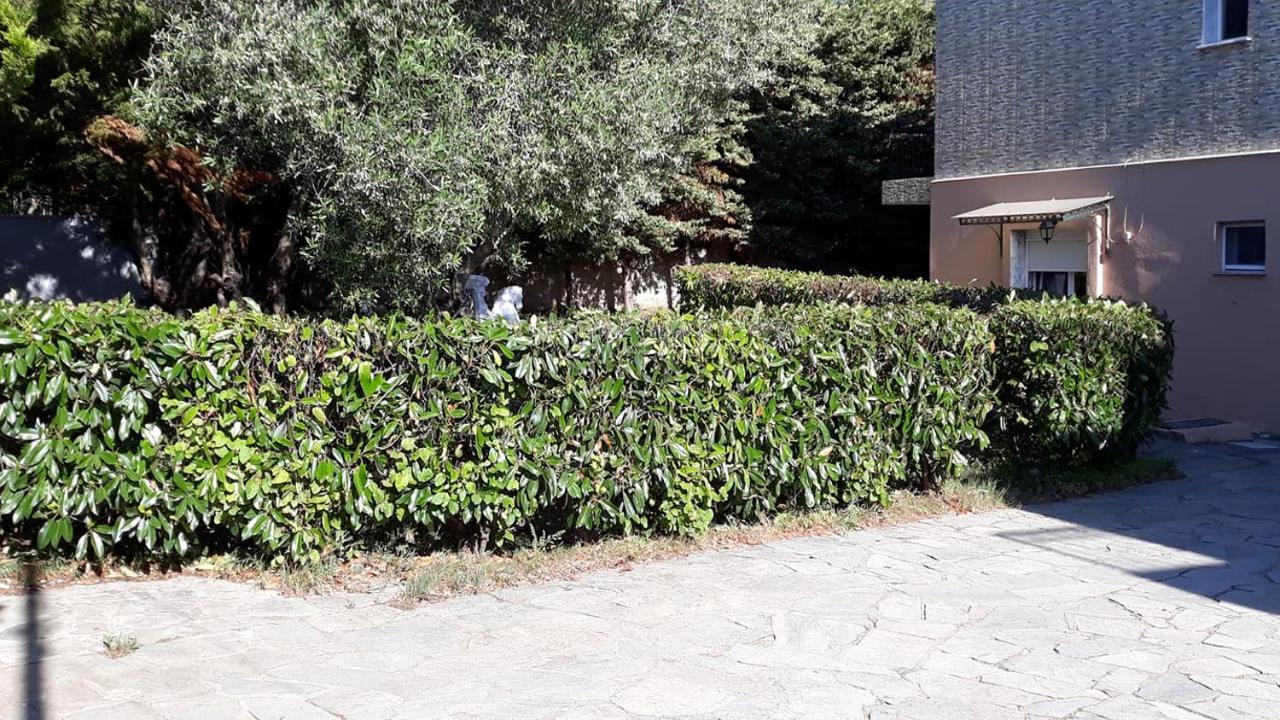 Tassos2 *