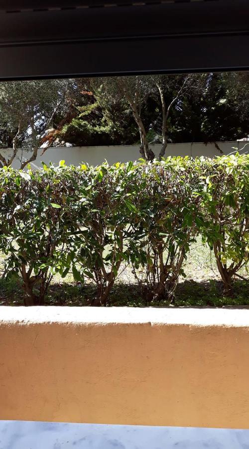 Apartment Tassos2