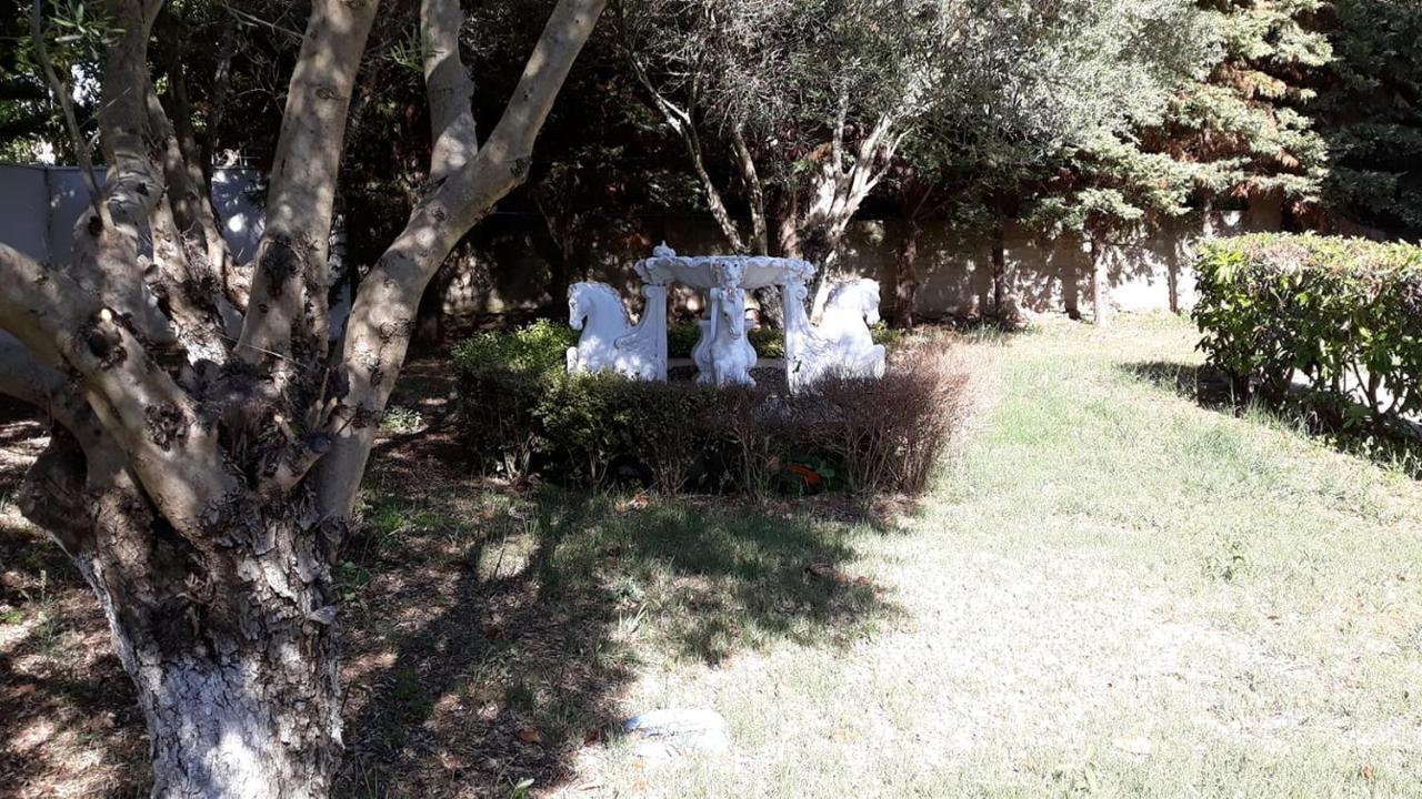 Tassos2 *